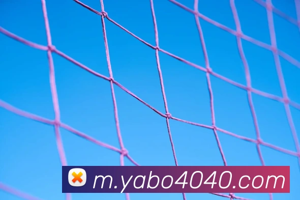 yabo服务体系